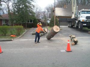 When CLC Tree Services can't access a work site, due to close proximity of houses, sometimes a crane is necessary to help 
